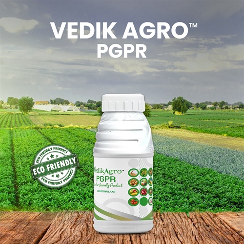 VEDIK AGRO PGPR